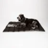 Scruffs Expedition Roll Up Travel Pet Bed 100×70 cm | Reisbed hond