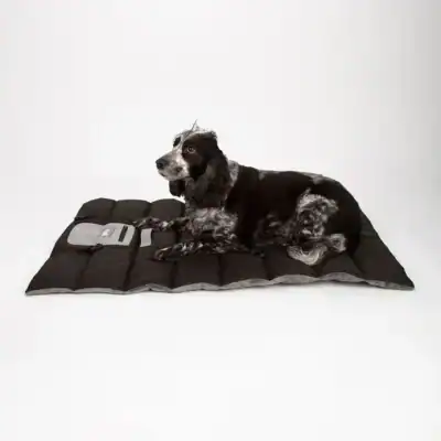Scruffs Expedition Roll Up Travel Pet Bed 100×70 cm | Reisbed hond