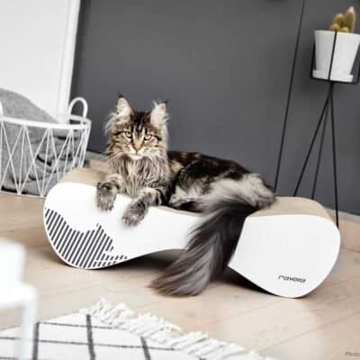 MyKotty VIGO krabmeubel voor katten – wit