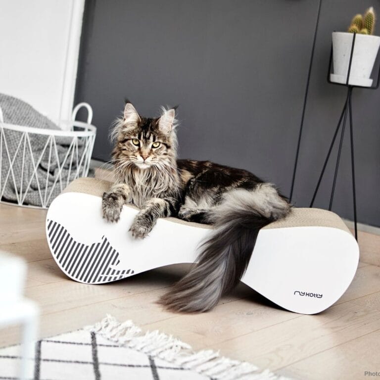 MyKotty VIGO krabmeubel voor katten – wit