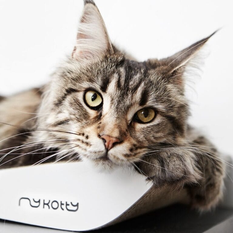 MyKotty TOBI krabmeubel voor katten – wit