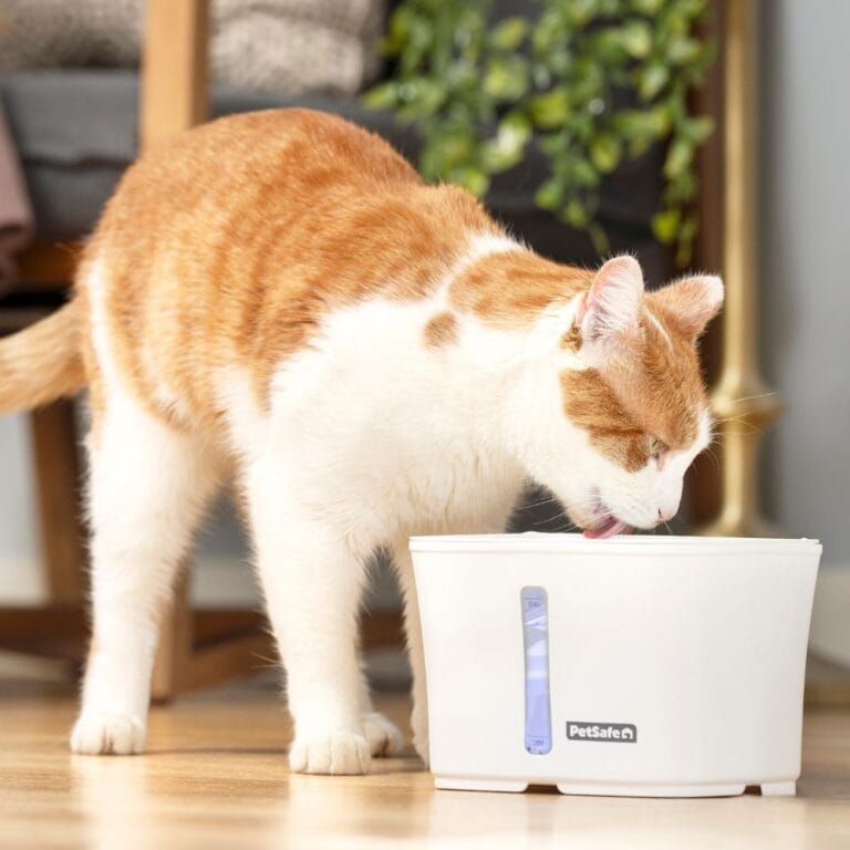 PetSafe Viva™ drinkfontein 1,8 L voor katten – stil & hygiënisch