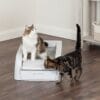 Zelfreinigende kattenbak – ScoopFree™ automatische kattenbak zonder scheppen