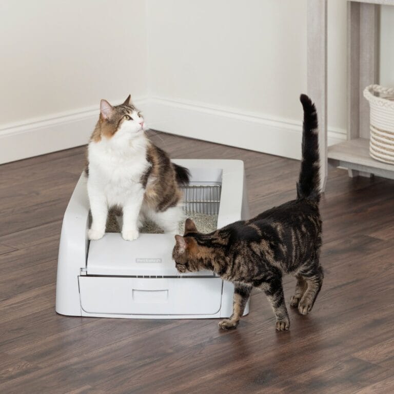 Zelfreinigende kattenbak – ScoopFree™ automatische kattenbak zonder scheppen