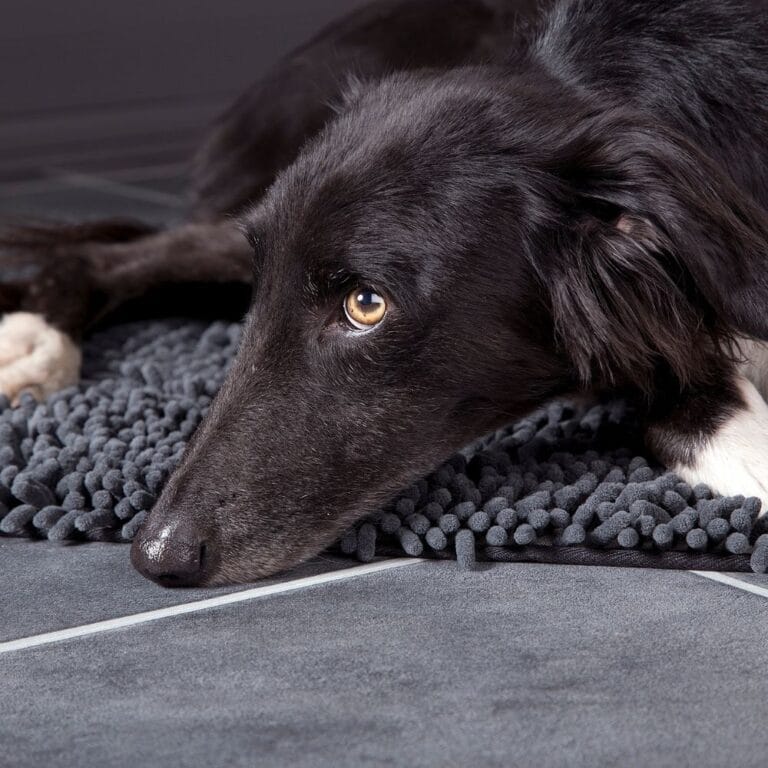 Noodle Dry Mat Grijs