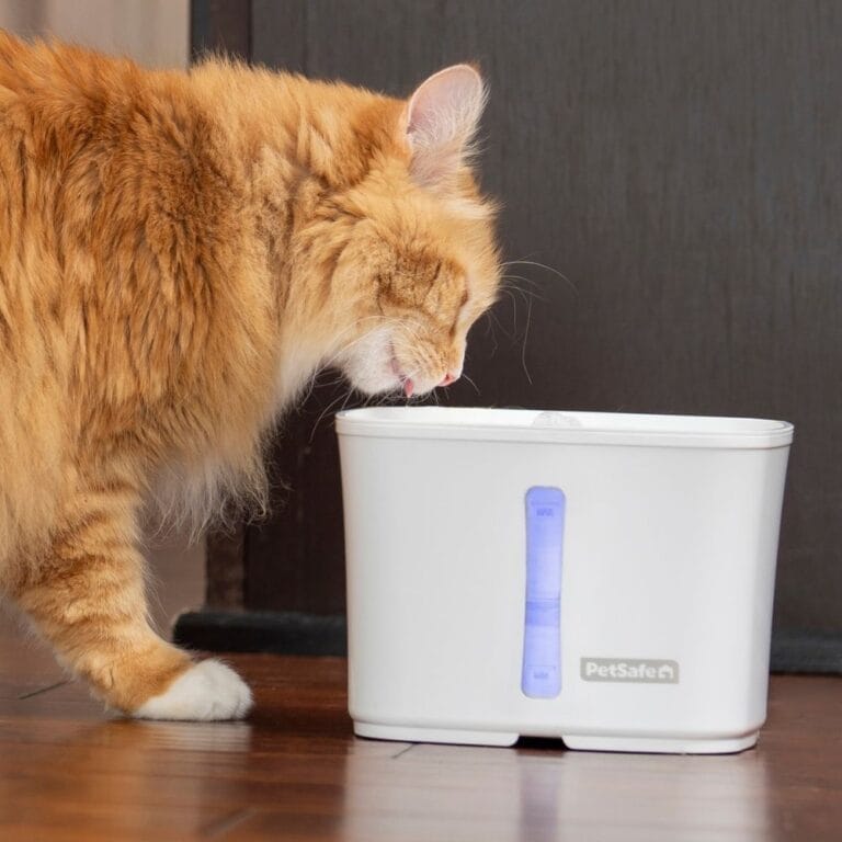 PetSafe Viva™ drinkfontein 1,8 L voor katten – stil & hygiënisch