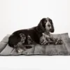 Scruffs Expedition Roll Up Travel Pet Bed 100×70 cm | Reisbed hond