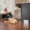 PetSafe Viva™ drinkfontein 1,8 L voor katten – stil & hygiënisch