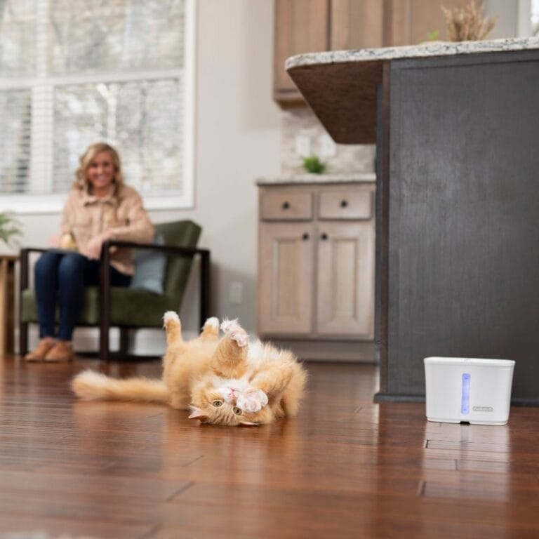 PetSafe Viva™ drinkfontein 1,8 L voor katten – stil & hygiënisch