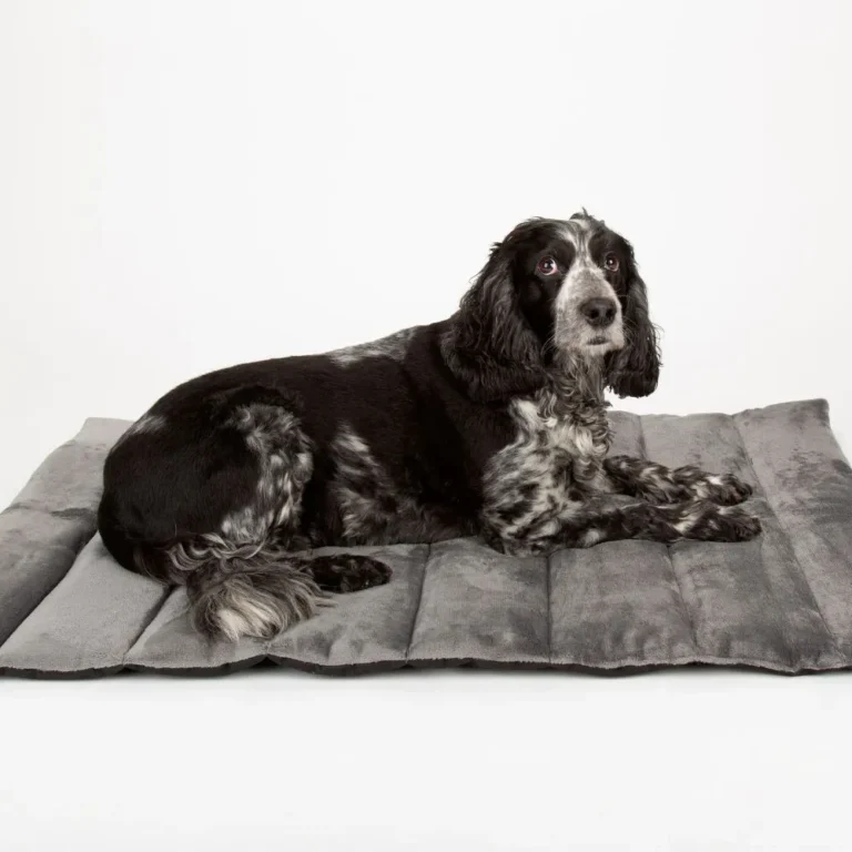 Scruffs Expedition Roll Up Travel Pet Bed 100×70 cm | Reisbed hond