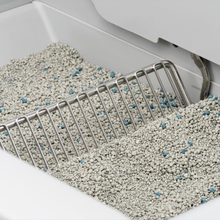 Zelfreinigende kattenbak – ScoopFree™ automatische kattenbak zonder scheppen