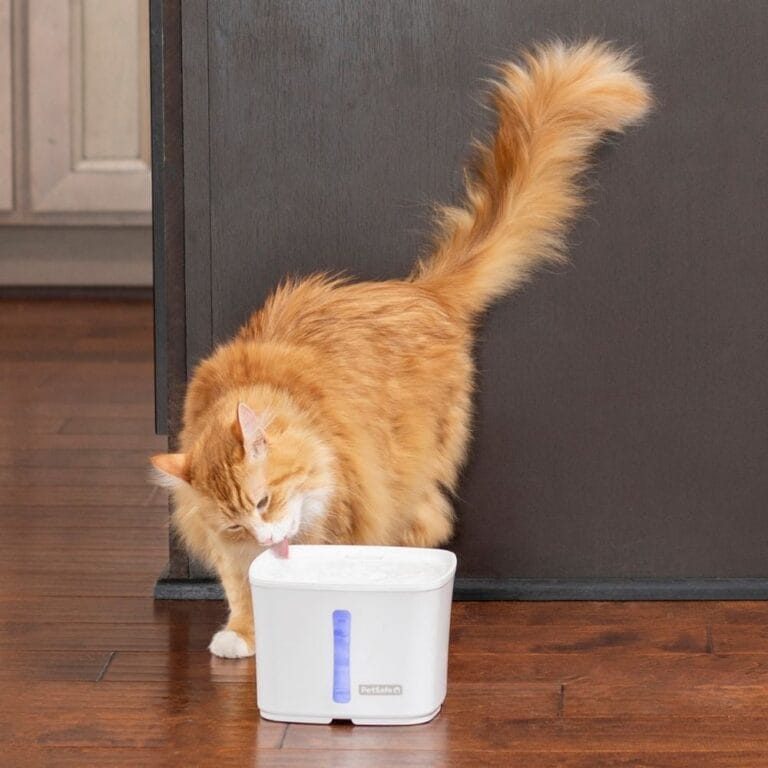 PetSafe Viva™ drinkfontein 1,8 L voor katten – stil & hygiënisch