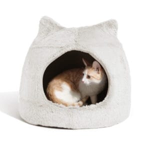 Meow Hut - Ivory of Wheat