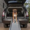 Happy Ride™ Compacte Uitschuifbare Hondenloopplank