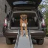 Happy Ride™ Compacte Uitschuifbare Hondenloopplank