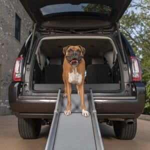 Happy Ride Triscope Ramp