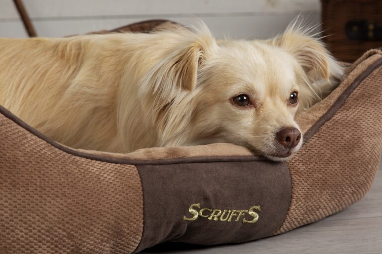 Scruffs Chester Box Bed Chocolade Bruin Medium 60×50 cm