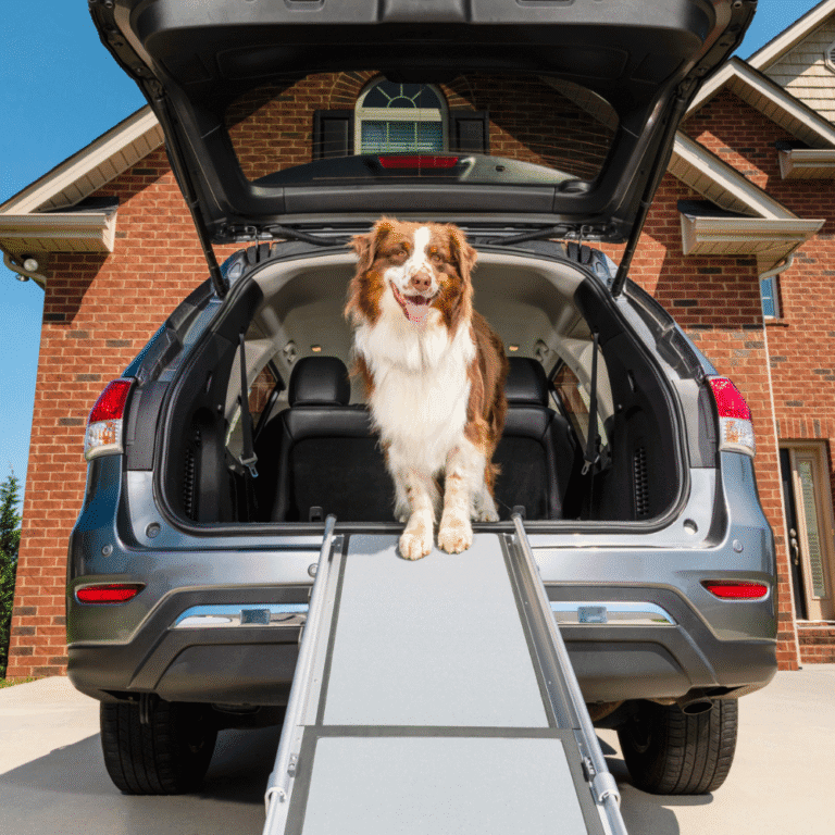 Happy Ride Telescoping Dog Ramp Extra Large