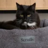 Scruffs Bouclé Cat Bed Grijs Ø45 cm | Luxe kattenmand