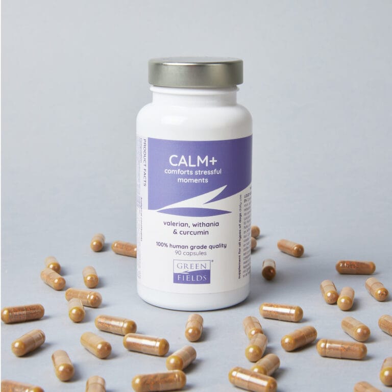 Greenfields Calm+ hond | Natuurlijk supplement tegen stress