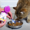 PlaqueOff poeder voor katten 40 g – natuurlijk supplement voor gebitsverzorging