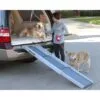 Happy Ride™ Compacte Uitschuifbare Hondenloopplank