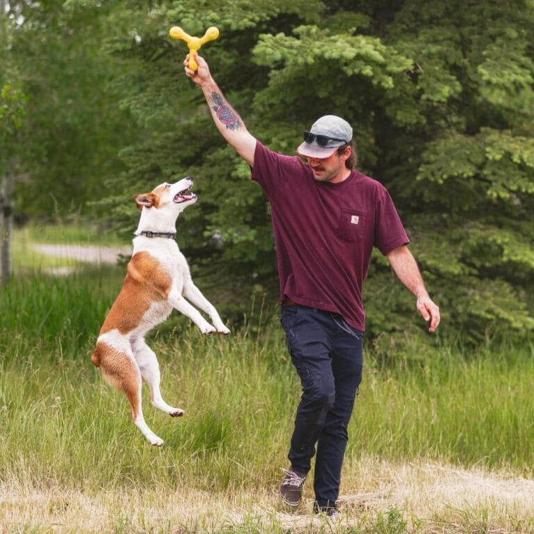 Zogoflex Echo Skamp Dandelion Yellow