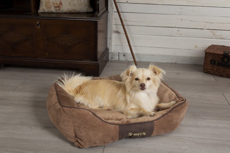 Scruffs Chester Box Bed Chocolade Bruin Medium 60×50 cm