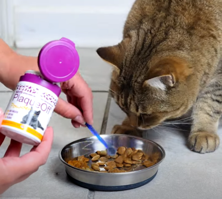 PlaqueOff poeder voor katten 40 g – natuurlijk supplement voor gebitsverzorging