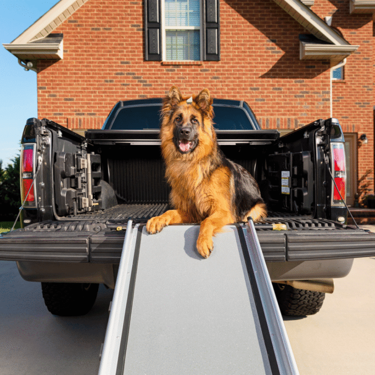 Happy Ride Telescoping Dog Ramp Medium