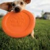 Zogoflex Zisc Tangerine Oranje / Large - 21