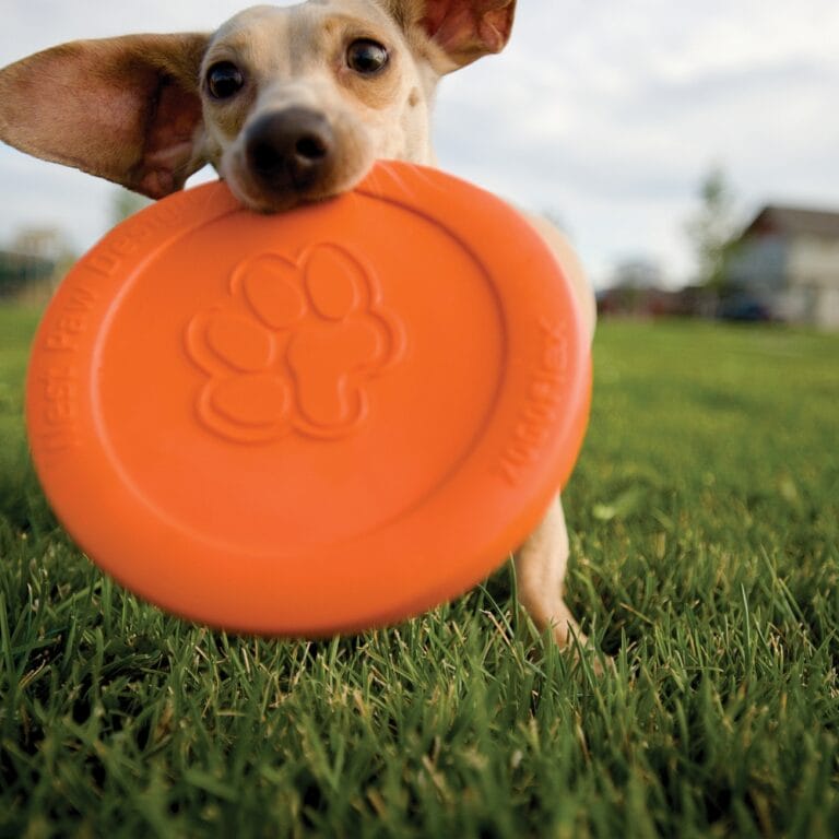Zogoflex Zisc Tangerine Oranje / Large - 21