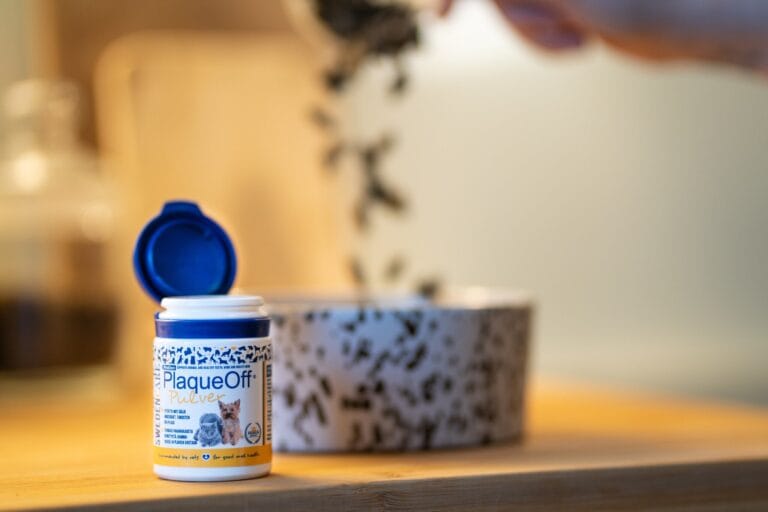 2-6.jpg PlaqueOff Poeder voor honden 60 g – natuurlijk supplement voor gebitsverzorging