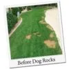Dog Rocks – natuurlijke oplossing tegen urinevlekken bij honden