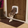 Microchip Cat Flap Wit