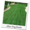 Dog Rocks – natuurlijke oplossing tegen urinevlekken bij honden