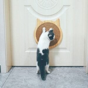 Krabplank voor Kittens en Katten