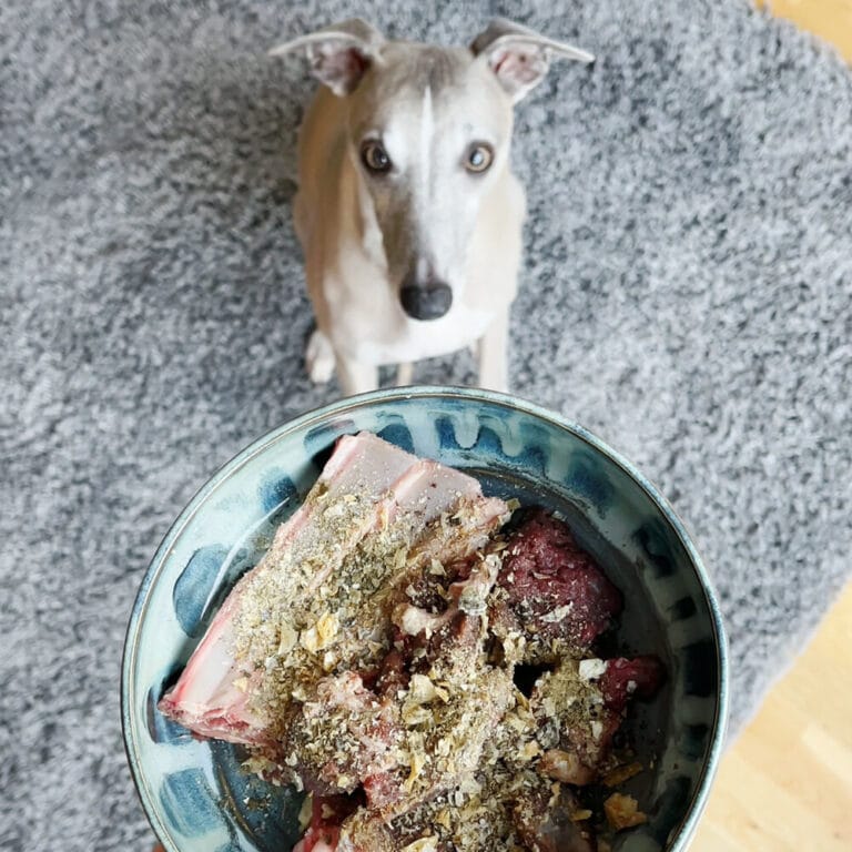 4-4.jpg PlaqueOff Poeder voor honden 180 g – natuurlijk supplement voor gebitsverzorging