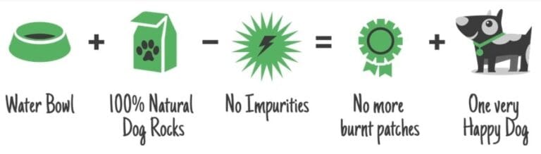 Dog Rocks – natuurlijke oplossing tegen urinevlekken bij honden