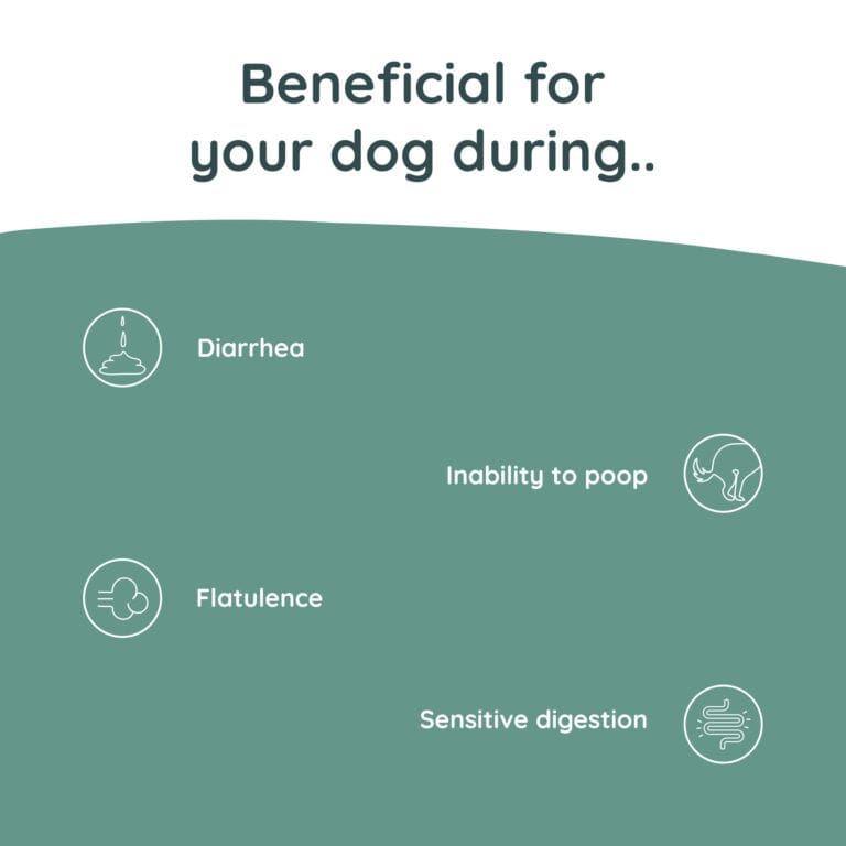 Greenfields Probiotics+ voor honden – ondersteuning bij gevoelige darmen