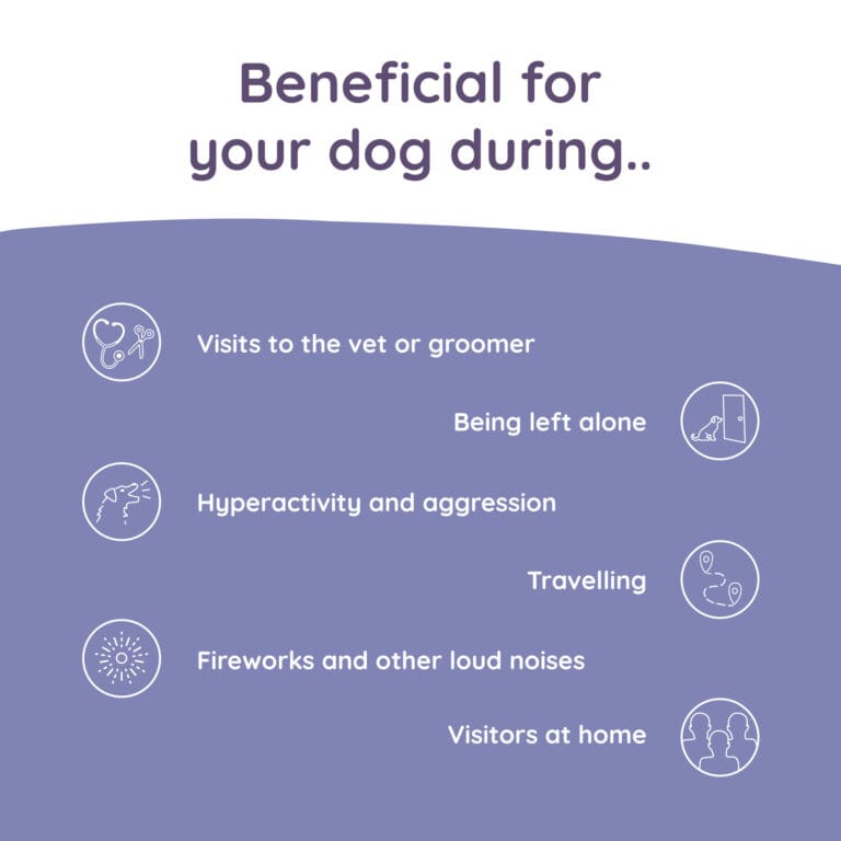 Greenfields Calm+ hond | Natuurlijk supplement tegen stress