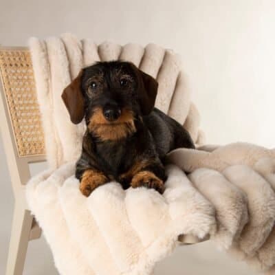 Scruffs Aspen Blanket Crème | Luxe en warme deken voor honden en katten