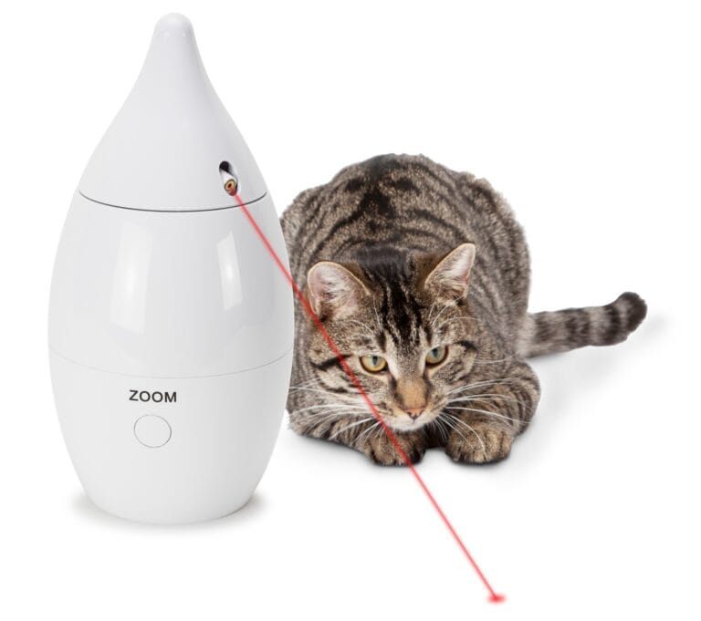 Zoom Automatic Laser Toy
