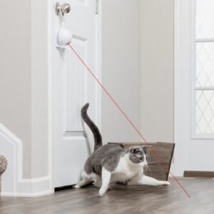 Petsafe Dancing Dot Laser Cat Toy