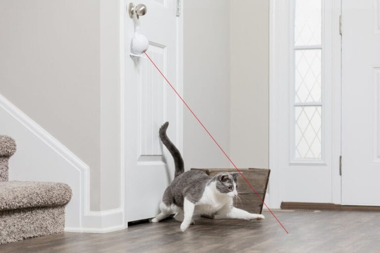 PetSafe Dancing Dot Laser Cat Toy – interactief laserspeeltje voor katten