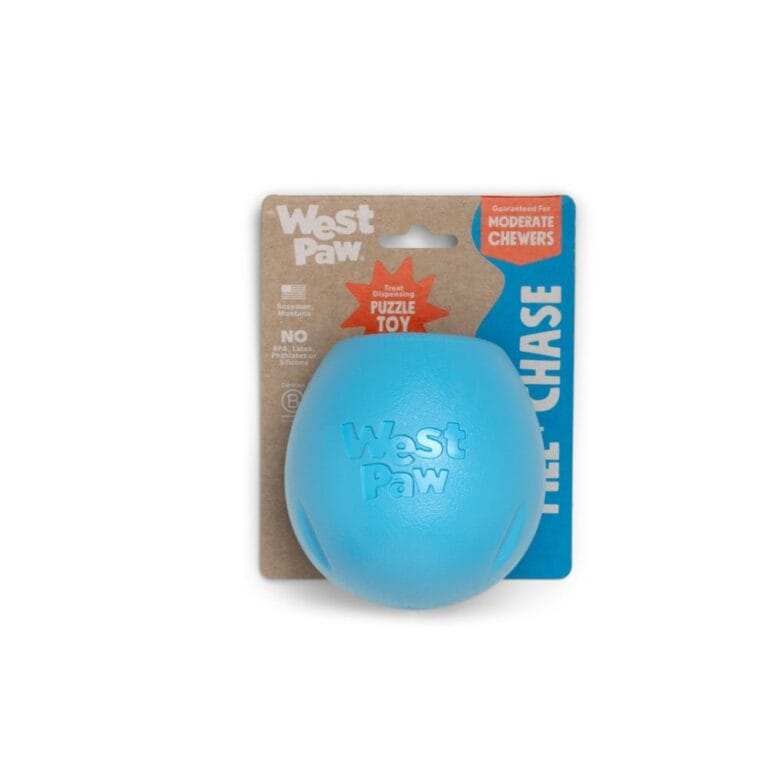 Zogoflex Echo Rumbl Aqua Blue / Large
