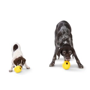 West Paw - Zogoflex Echo Rumbl – Small / Large – 3 nieuwe kleuren
