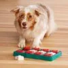 1-20.jpg Outward Hound Dog Brick – intelligentiespeelgoed voor honden (level 2)