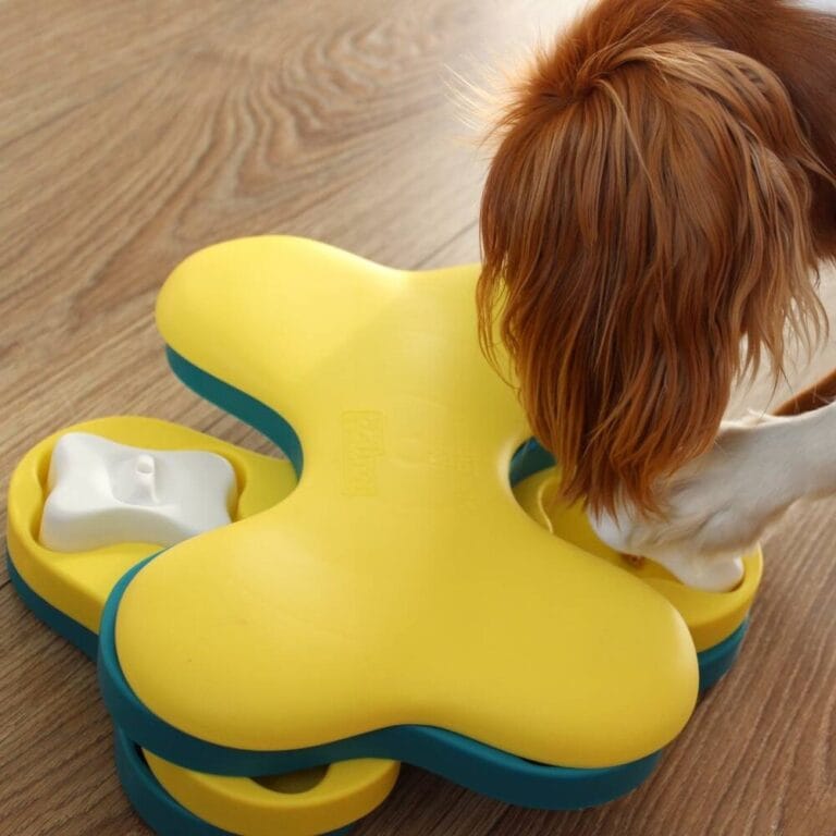 Outward Hound Dog Tornado – intelligentiespeelgoed voor honden (level 2)