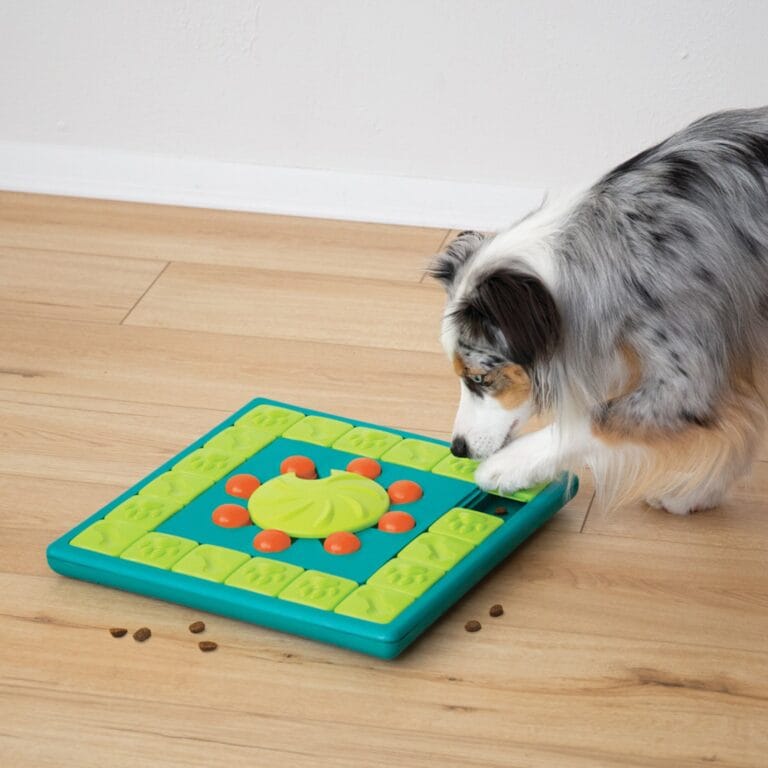 Multipuzzle hondenpuzzel – intelligentiespeelgoed voor honden (level 4)